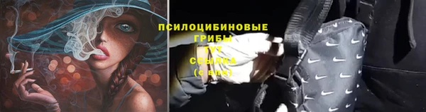 хмурый Алексеевка