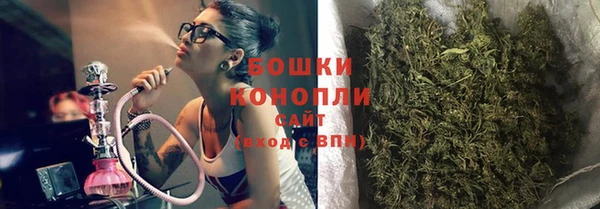 шишки Лагань